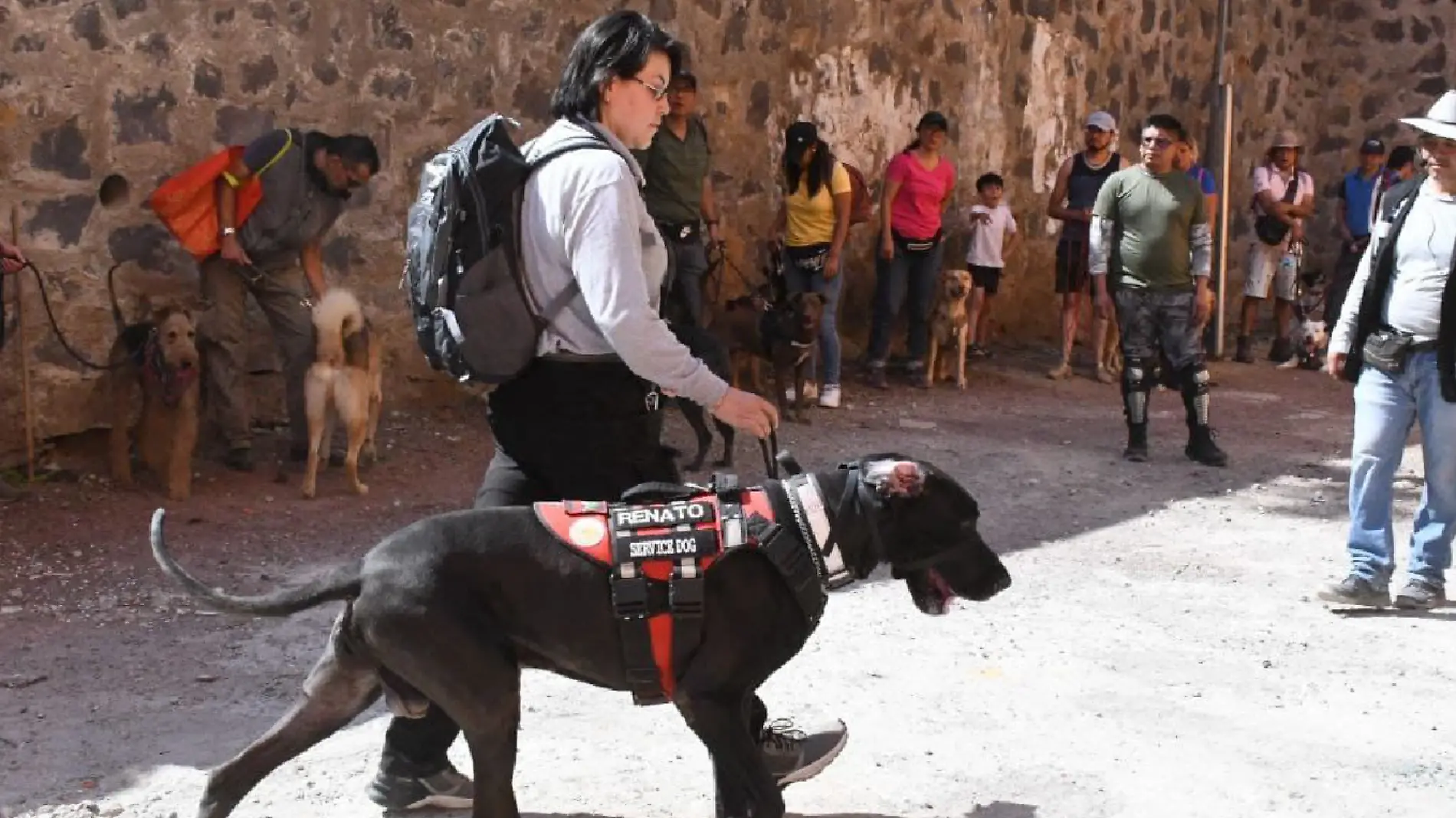 Alcaldía Tlalpan arrancó el segundo Taller de Rescate para Perros